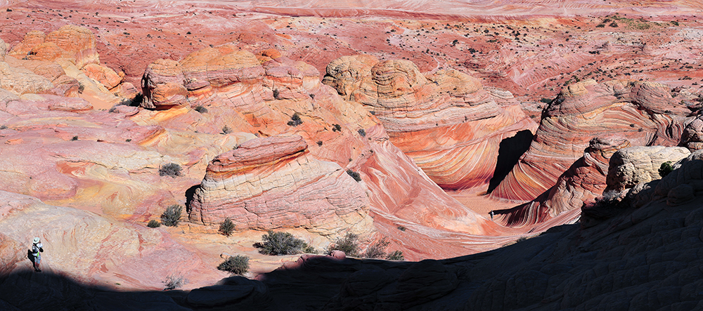USA Coyote Buttes north_Panorama 7255d